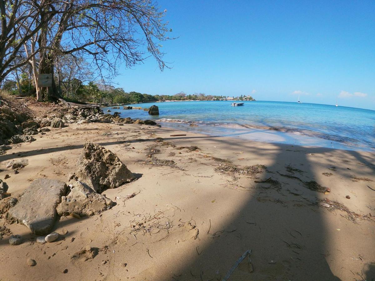 Private Beach House Maloka Surf Puerto Limon Luaran gambar