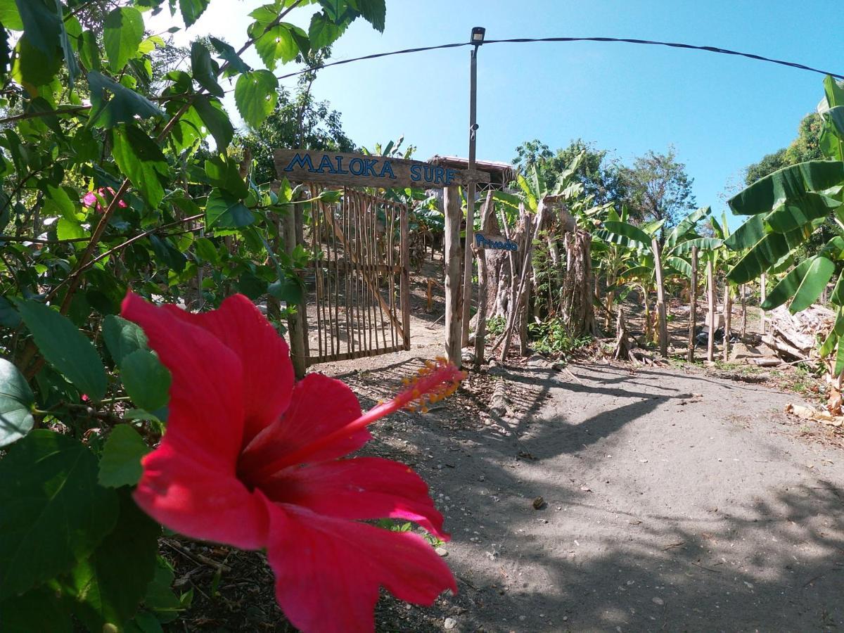 Private Beach House Maloka Surf Puerto Limon Luaran gambar