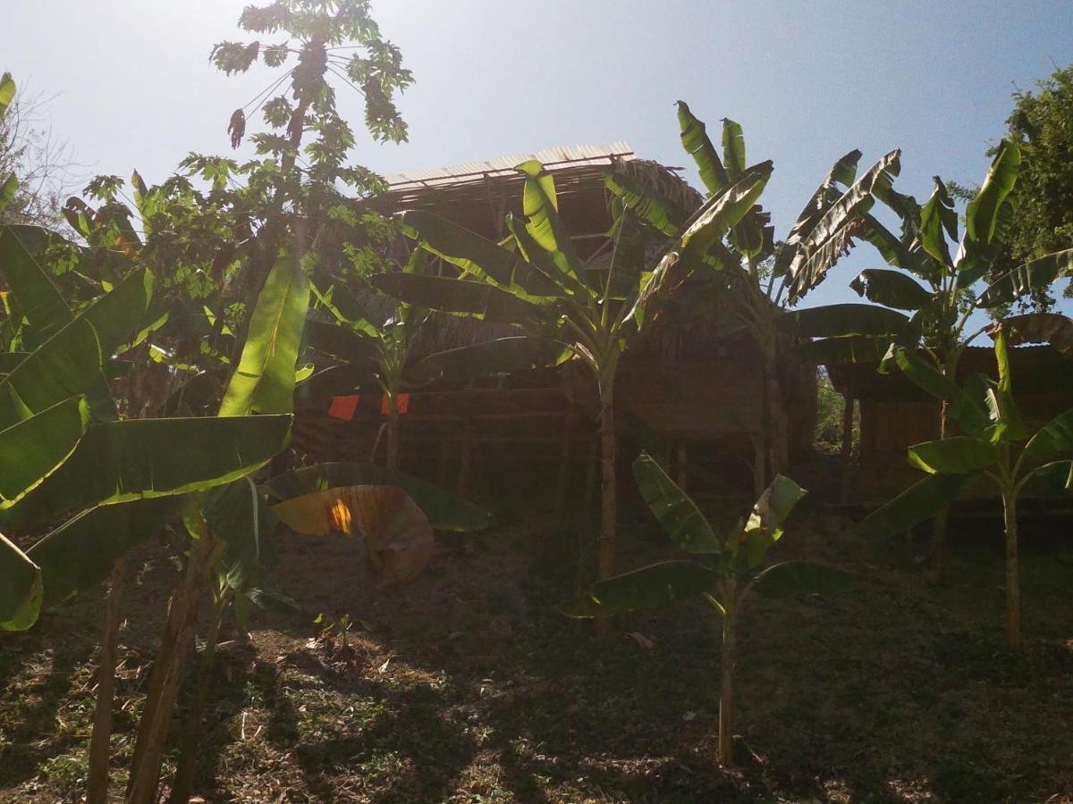 Private Beach House Maloka Surf Puerto Limon Luaran gambar