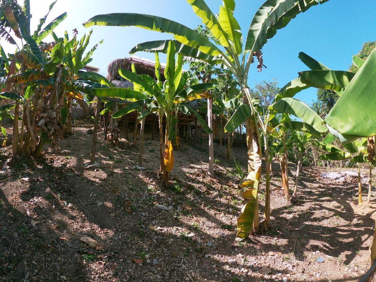 Private Beach House Maloka Surf Puerto Limon Luaran gambar